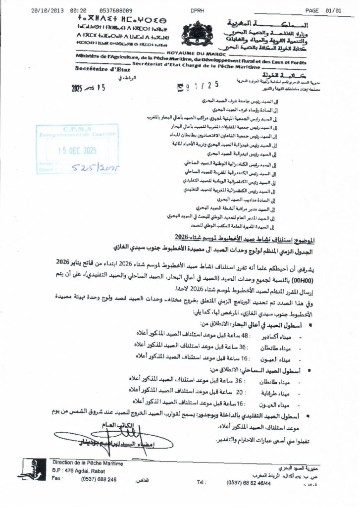 استأناف نشاط صيد الأخطبوط